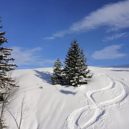 Apartamento Comfortable Near Ski Area In