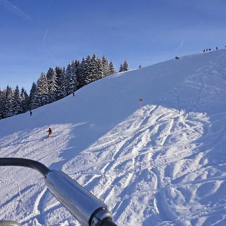 Comfortable Near Ski Area In * Sonntag